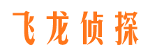 汉阳市侦探公司